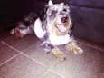Lunna