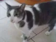 Galileia