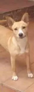 Kiara