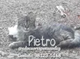 Pietro