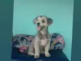 Boby
