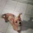 Duke