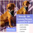 Princesa