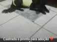 Nega
