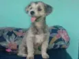 Boby