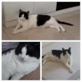 Thuco