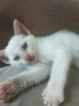 Jimmy