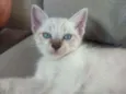 Bob