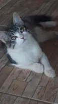 Nina