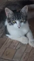 Nina