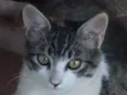 Nina