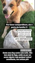 Bolinha
