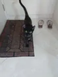 Frida