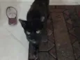 Frida