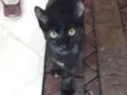 Frida
