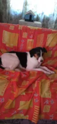Sem nome