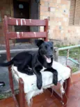 Bombom