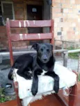 Bombom