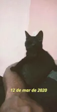 Penélope e Pabllo