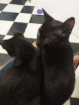 Penélope e Pabllo