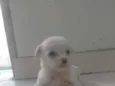 Sem nome