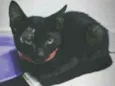 Penélope e Pabllo