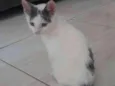 Omar