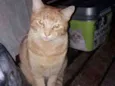 Tião