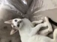 Catarina e Valentina