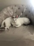 Catarina e Valentina