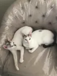 Catarina e Valentina