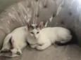 Catarina e Valentina