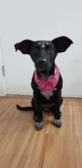NINA