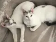 Catarina e Valentina