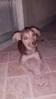 Mel