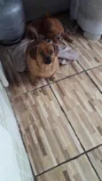 Jade uma fofa linda