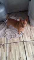 Nino lindo e fofo