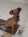 Não tem nome