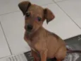 Não tem nome