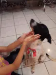 Luna e Nina
