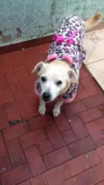 Nina