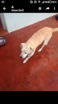 Nina