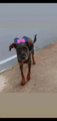 Malu