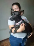 Amora