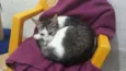 Catelyn