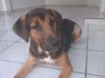 Maicon