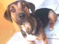 Maicon