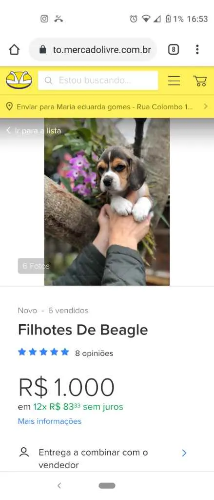 Cachorro ra a SRD idade 1 ano nome ...