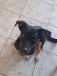 Molly