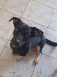 Molly